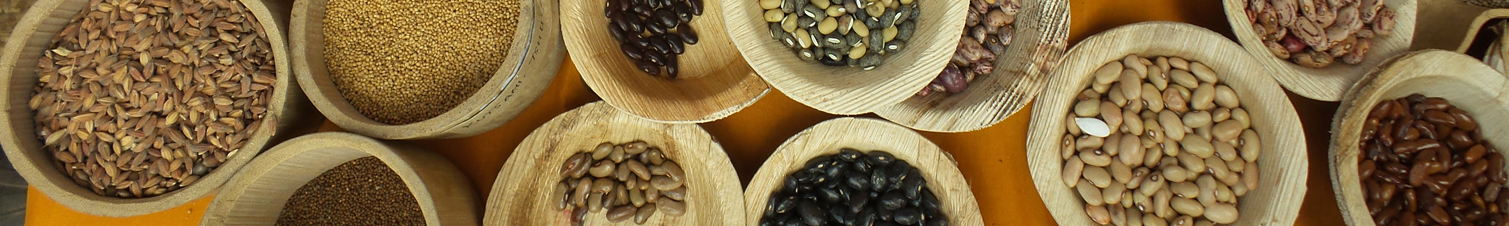 Biodiversity of Andean Grains: Balancing Market potential and Sustainable Livelihoods.