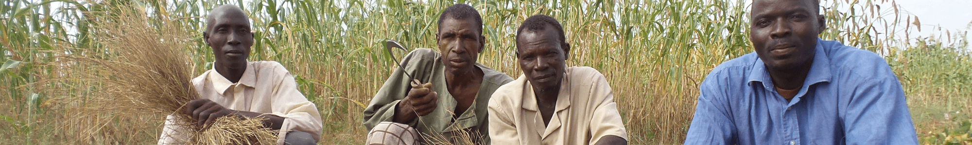 Fonio and Bambara groundnut in Mali